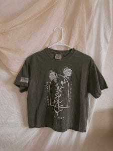 Indian Paintbrush Tee