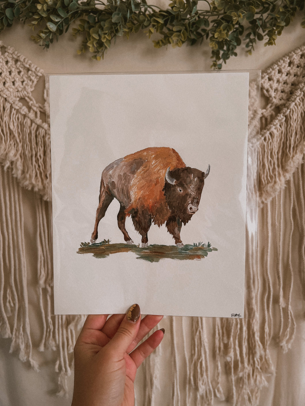 Bison Print