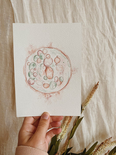 Embryo Watercolor Piece